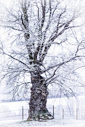 Photo n°5 de DOMAINE DE PEPIANNE à Sabarat (Club d'équitation)