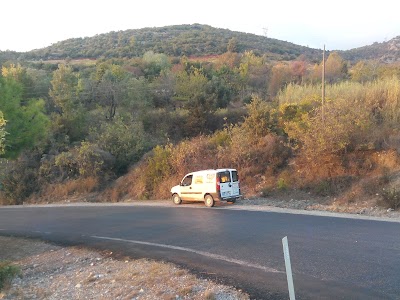 Photos of BUR&Ccedil;AK PASTANESİ