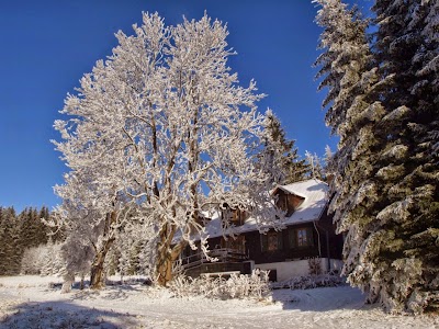 Photos of Apartm&aacute;n Pod Kober&scaron;tejnem, Rejv&iacute;z