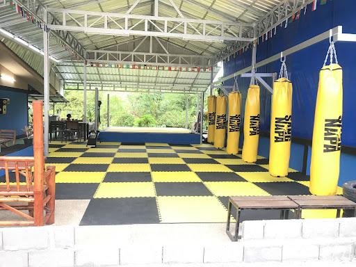 Twin Tigers Samui Camp