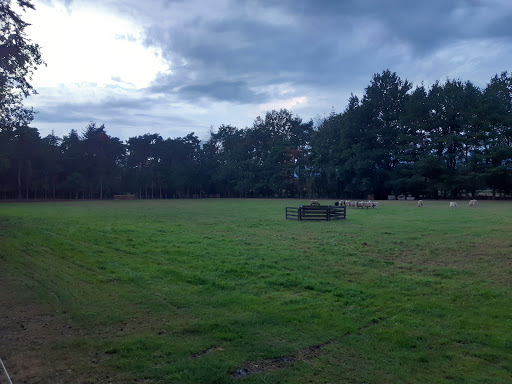 Border Bos - Visual