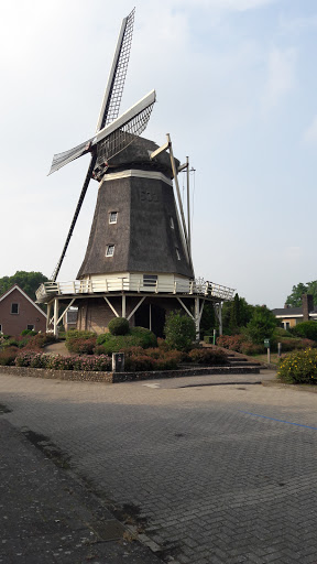Schottinck - Visual