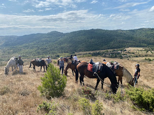 Photo n°16 de Le cheval par Nature à Montirat (Ferme d'élevage)
