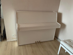 Photo n°19 de Services Lyon Demenagements à Charvieu-Chavagneux (Déménageur)
