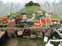 GAEC Le Champ des Cigognes à Mézidon-Canon