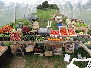 Photo n°1 de GAEC Le Champ des Cigognes à Mézidon-Canon (Siège social)