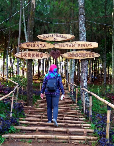 Photos of Gunung Gogoniti