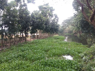 Photos of Baliadangi koborsthan