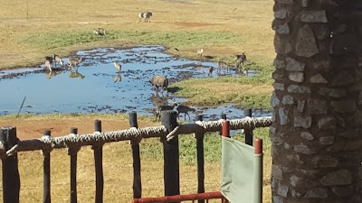 Photos of Lumo Community Wildlife Sanctuary