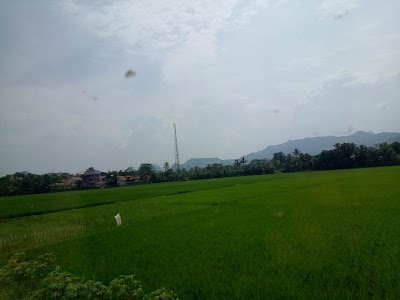 Photos of Warung Ma enda