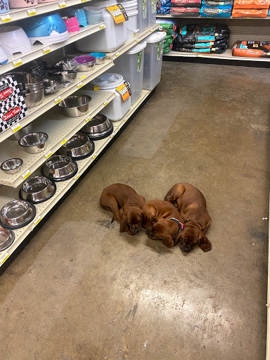 China Spring Country Store