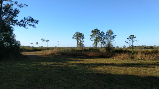 Myakka River State Park Horse Camp