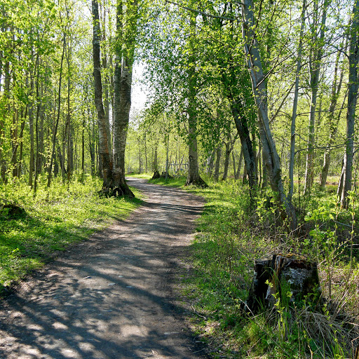 Rovön - Visual