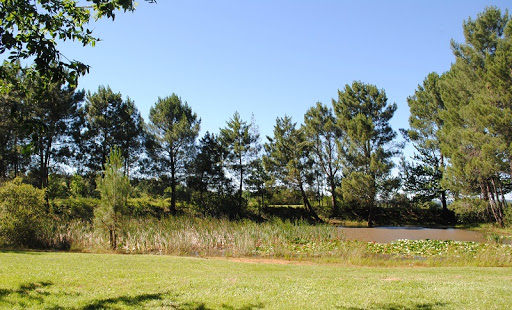 Camping Brin d'Amour Gallery - France