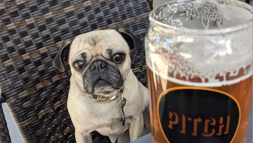 Pitch Scottsdale - Restaurant and Pizzeria by null