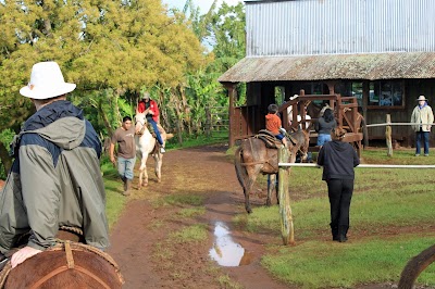 Molokai Mule Ride