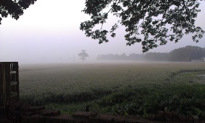 Photos of Ahmed Plaza