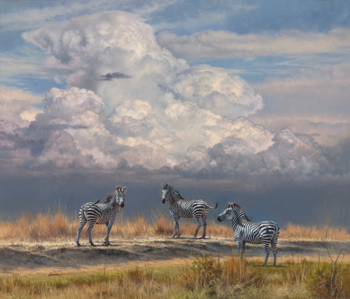 Native Visions Galleries - Visual