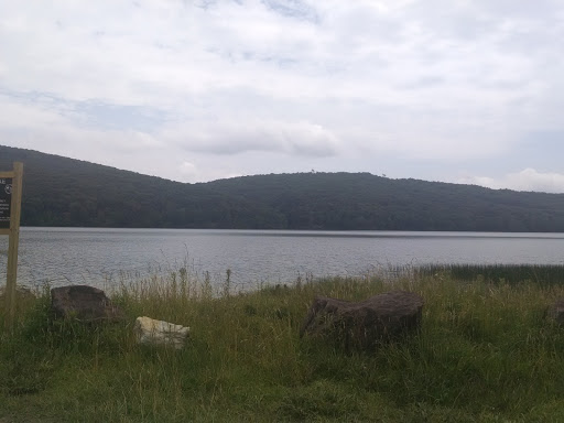 Clinch Mountain Wildlife Management Area - Thumbnail
