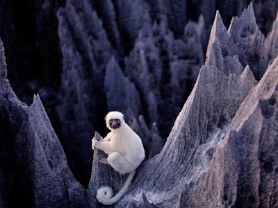 Photos of RAMARTOUR Madagascar