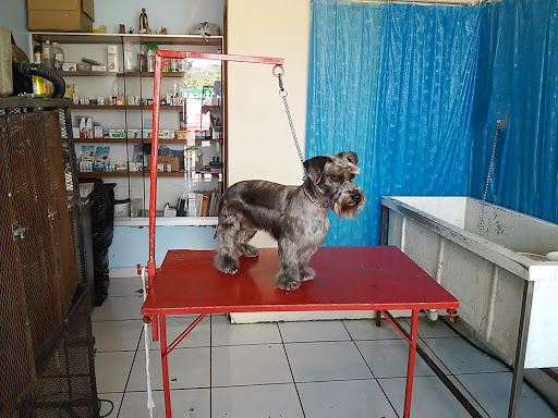 Estética Perruna - Clínica Veterinaria