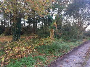 Photo n°7 de Terrassement-Tout à l'égout- Anglade Benjamin,Inspection caméra,Labenne,Tosse,Ondres,Saint Martin de Hinx,Seignanx,benesse à Saint-André-de-Seignanx (Service d'assainissement)