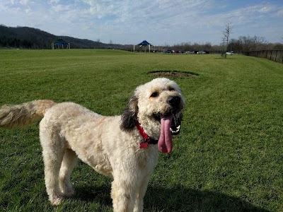 Photos of Simmonds Family Dog Park