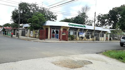 Photos of Coopeguanacaste Filadelfia