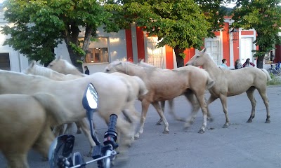 Photos of Sanitarios Mitre