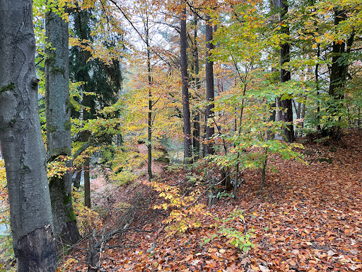 Haferdeckfelsen - Visual