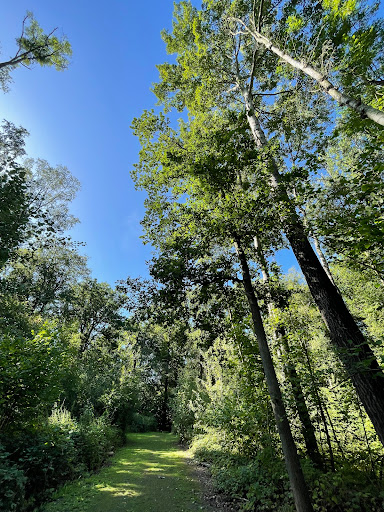 Tassoniere Woods - Thumbnail