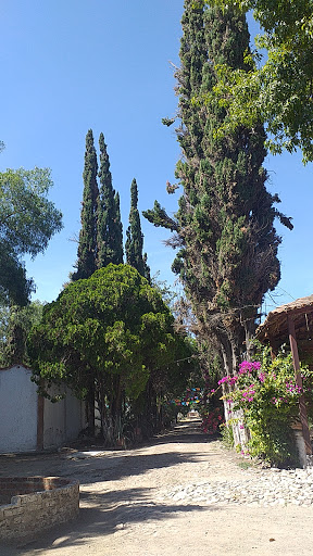 Granja san vicente - Thumbnail