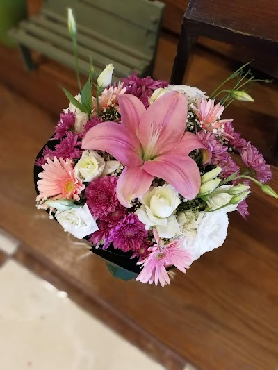 Photos of Zaher flowers