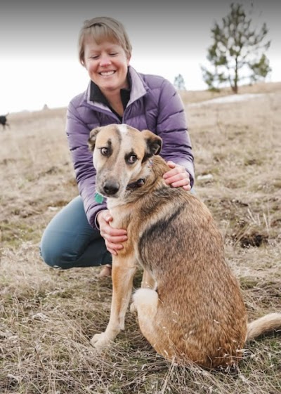 Sentinel Veterinary Medical Center