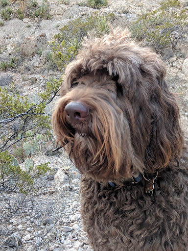 Franklin Mountains State Park - Thumbnail