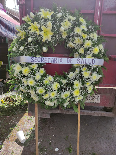 Floresse - Visual