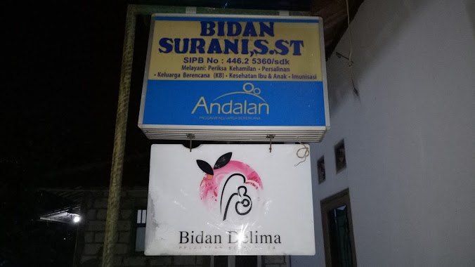 Bidan Surani SST, Author: Rini Novita