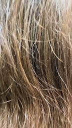 Photo n°15 de En Evidence à Chalon-sur-Saône (Salon de coiffure)