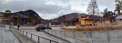 grocery-or-supermarket