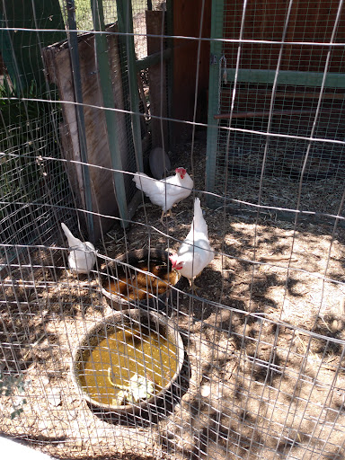 Golden Hills Nursery & Feed Center Gallery - United States
