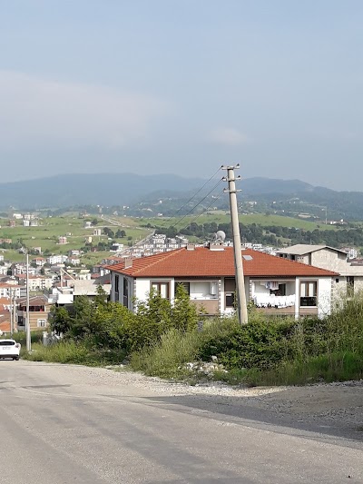 Hüseyin Alkaş İlkokulu