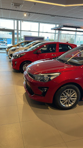 Ferri Auto - Trieste - Thumbnail