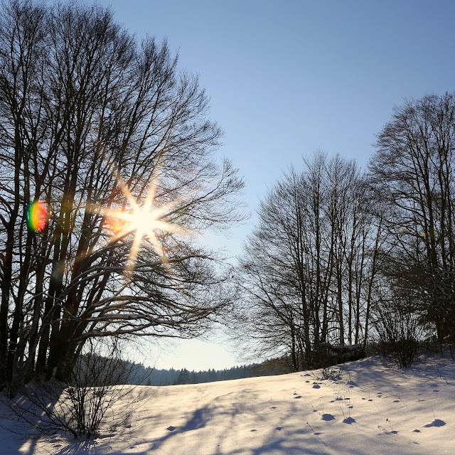 Lac Genin