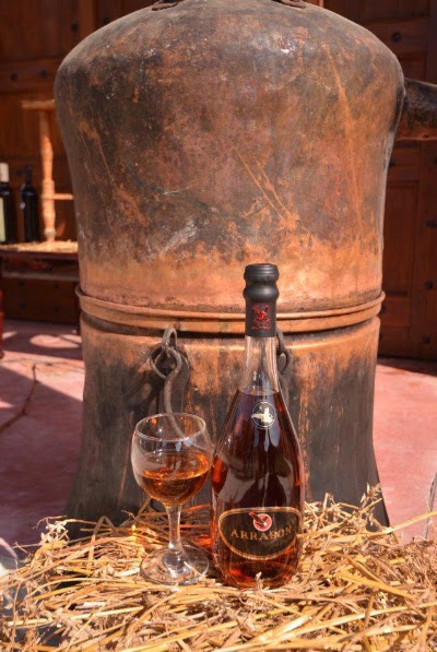 Photos of Nurellari Winery Cellar