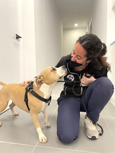 Veterinari del Clínico