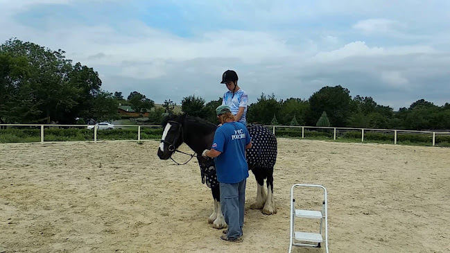 Royal Horse Club