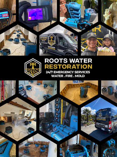 Roots Water Restoration