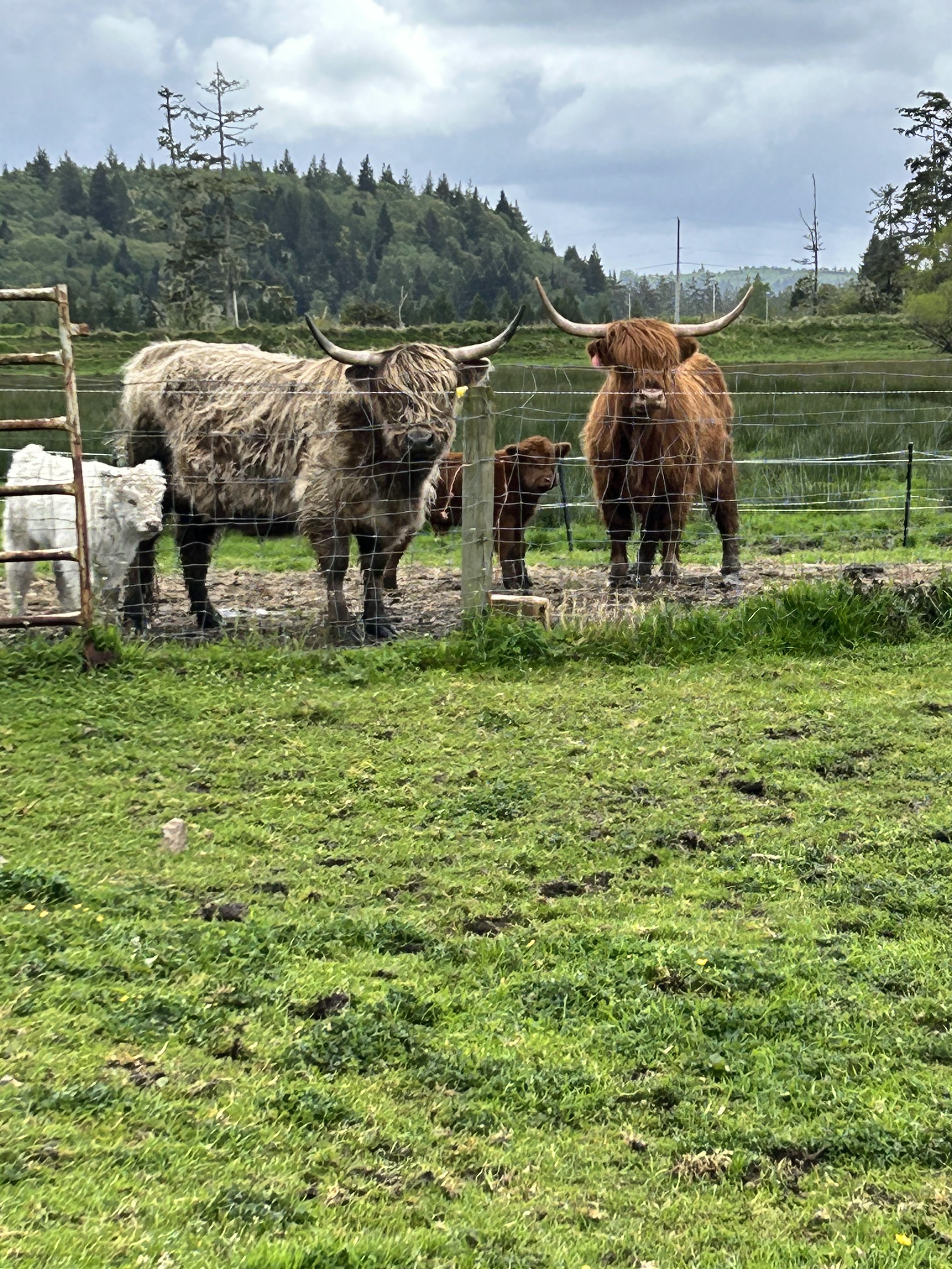 Blackberry Bog Farm