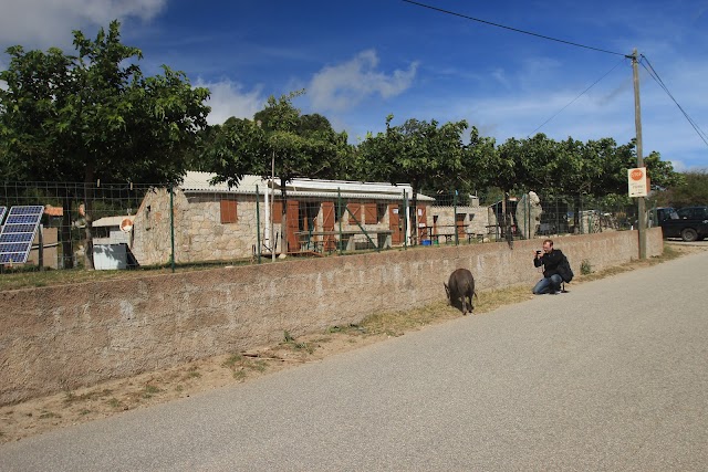 Chez Pierrot