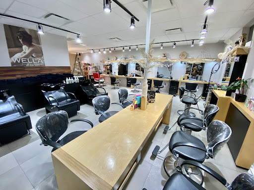 Salon Pur - Visual